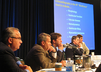 DCRI faculty share their knowledge at the 2011 Duke Clinical Medicine Series - Cardiology Conference.