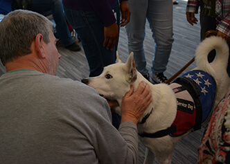 Four-legged friends from Vets to Vets pay a visit to the DCRI in 2016 to honor DCRI's veterans.