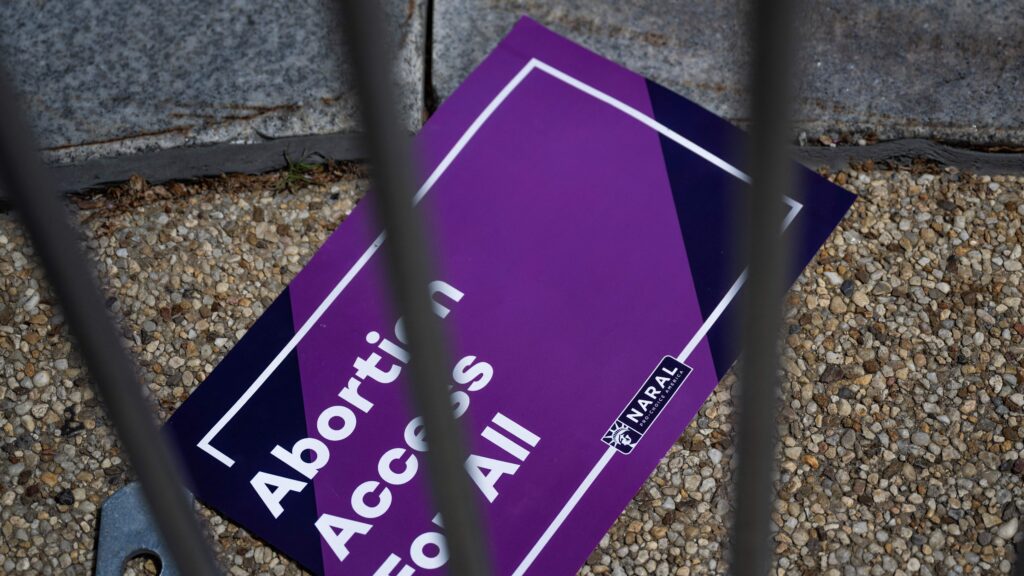 abortion access for all