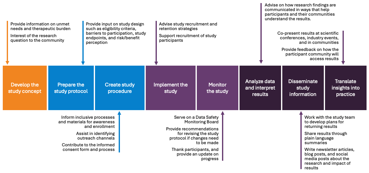 A detailed diagram that demonstrates how the DCRI thoughtfully involves research partners throughout the cycle of a study.