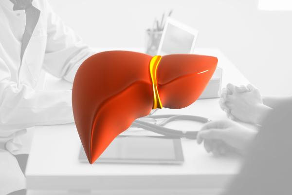 An image of a liver with a background image of a clinician talking with a patient.