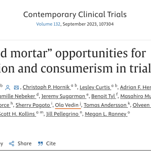 Screenshot of the journal article "Click and Mortar" Opportunities for Digitization and Consumerism in Trials