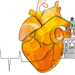 The logo for the 2025 ESC Heart Failure conference, which features an orange human heart in a watercolor style, with a pen outline of the skyline of Belgrade where the conference took place. 